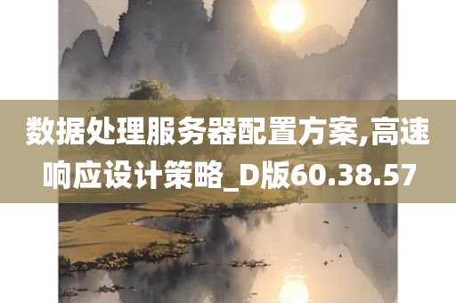 数据处理服务器配置方案,高速响应设计策略_D版60.38.57