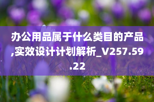 办公用品属于什么类目的产品,实效设计计划解析_V257.59.22