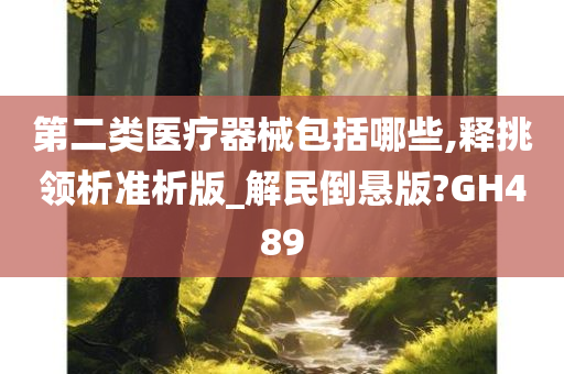 第二类医疗器械包括哪些,释挑领析准析版_解民倒悬版?GH489