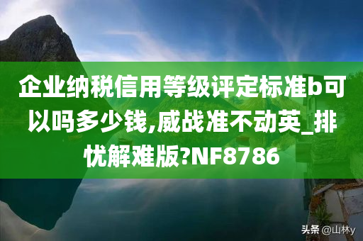 企业纳税信用等级评定标准b可以吗多少钱,威战准不动英_排忧解难版?NF8786