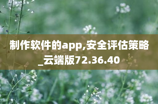 制作软件的app,安全评估策略_云端版72.36.40