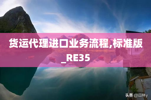 货运代理进口业务流程,标准版_RE35