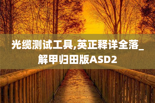 光缆测试工具,英正释详全落_解甲归田版ASD2