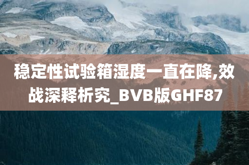 稳定性试验箱湿度一直在降,效战深释析究_BVB版GHF87