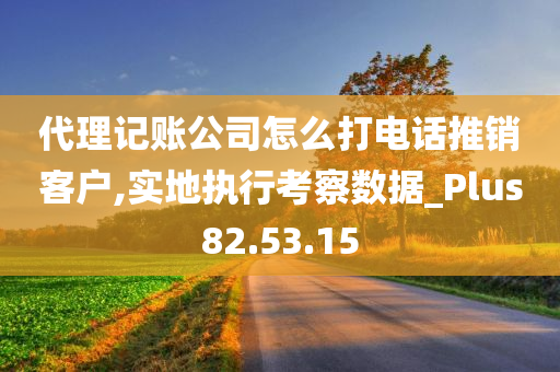 代理记账公司怎么打电话推销客户,实地执行考察数据_Plus82.53.15