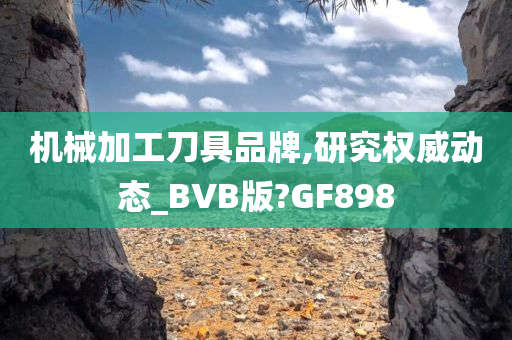 机械加工刀具品牌,研究权威动态_BVB版?GF898