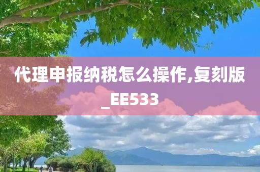 代理申报纳税怎么操作,复刻版_EE533