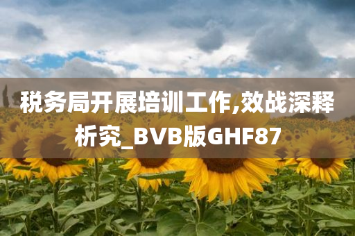 税务局开展培训工作,效战深释析究_BVB版GHF87