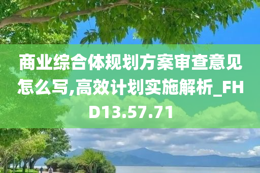 商业综合体规划方案审查意见怎么写,高效计划实施解析_FHD13.57.71