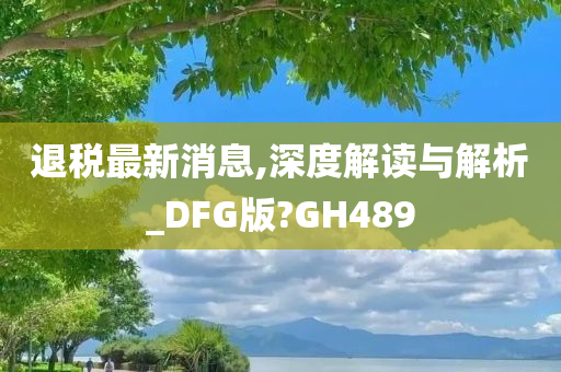 退税最新消息,深度解读与解析_DFG版?GH489