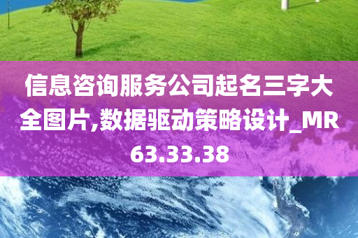 信息咨询服务公司起名三字大全图片,数据驱动策略设计_MR63.33.38