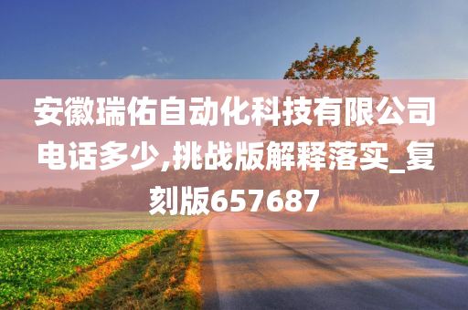 安徽瑞佑自动化科技有限公司电话多少,挑战版解释落实_复刻版657687