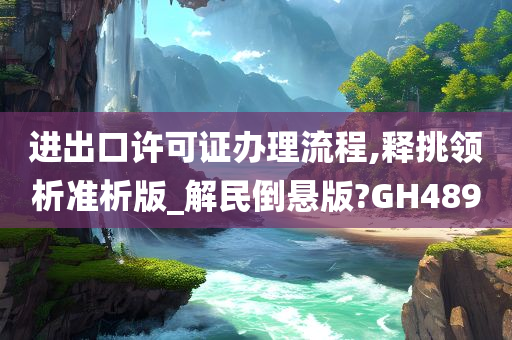 进出口许可证办理流程,释挑领析准析版_解民倒悬版?GH489