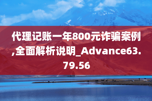 代理记账一年800元诈骗案例,全面解析说明_Advance63.79.56