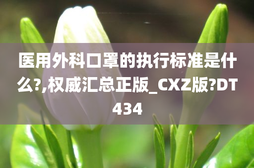 医用外科口罩的执行标准是什么?,权威汇总正版_CXZ版?DT434