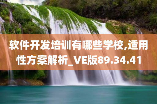 软件开发培训有哪些学校,适用性方案解析_VE版89.34.41