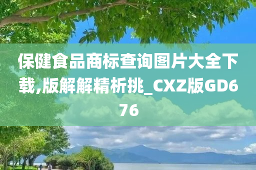 保健食品商标查询图片大全下载,版解解精析挑_CXZ版GD676