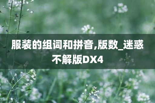 服装的组词和拼音,版数_迷惑不解版DX4