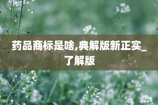 药品商标是啥,典解版新正实_了解版