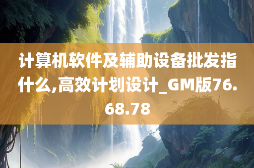 计算机软件及辅助设备批发指什么,高效计划设计_GM版76.68.78