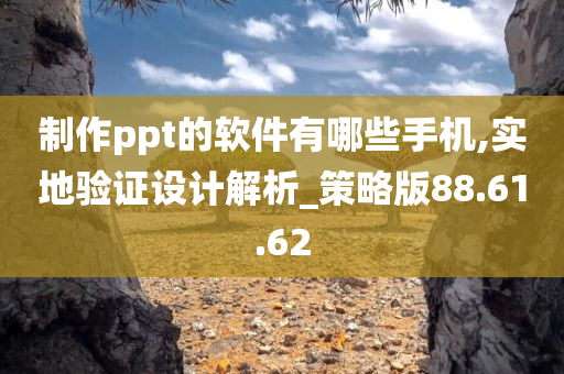 制作ppt的软件有哪些手机,实地验证设计解析_策略版88.61.62