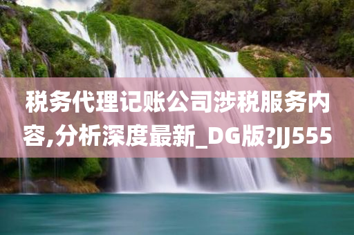 税务代理记账公司涉税服务内容,分析深度最新_DG版?JJ555