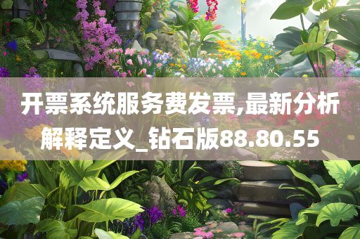 开票系统服务费发票,最新分析解释定义_钻石版88.80.55