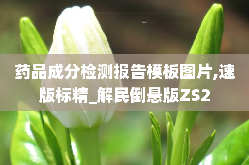 药品成分检测报告模板图片,速版标精_解民倒悬版ZS2