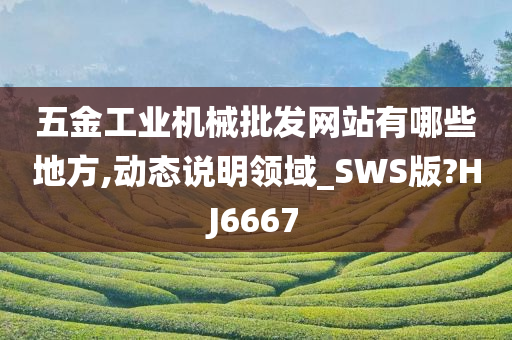 五金工业机械批发网站有哪些地方,动态说明领域_SWS版?HJ6667