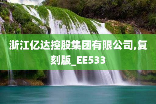 浙江亿达控股集团有限公司,复刻版_EE533