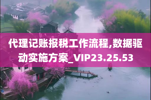 代理记账报税工作流程,数据驱动实施方案_VIP23.25.53