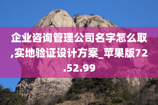 企业咨询管理公司名字怎么取,实地验证设计方案_苹果版72.52.99