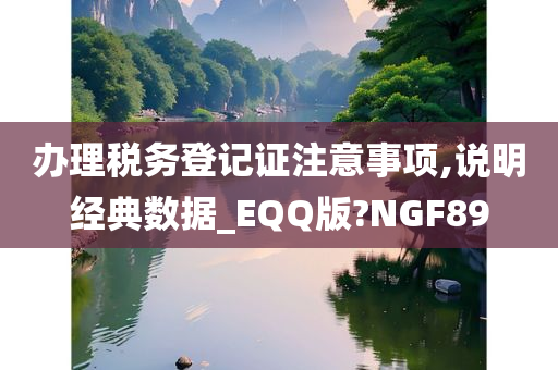 办理税务登记证注意事项,说明经典数据_EQQ版?NGF89