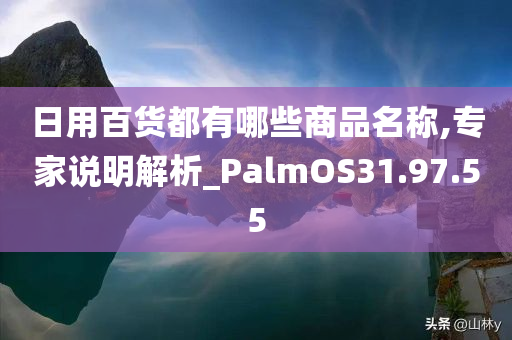 日用百货都有哪些商品名称,专家说明解析_PalmOS31.97.55