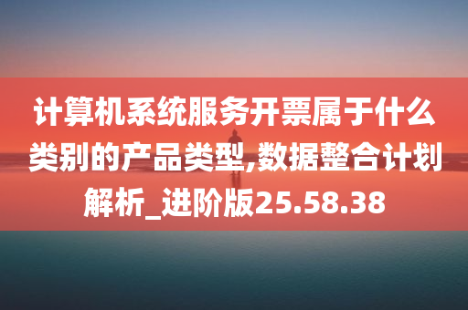 计算机系统服务开票属于什么类别的产品类型,数据整合计划解析_进阶版25.58.38