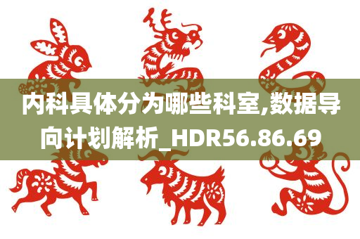 内科具体分为哪些科室,数据导向计划解析_HDR56.86.69