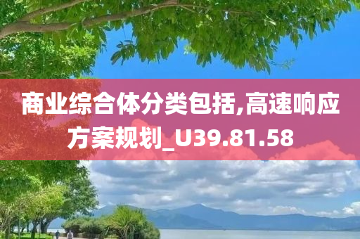 商业综合体分类包括,高速响应方案规划_U39.81.58