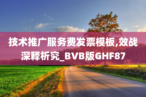 技术推广服务费发票模板,效战深释析究_BVB版GHF87