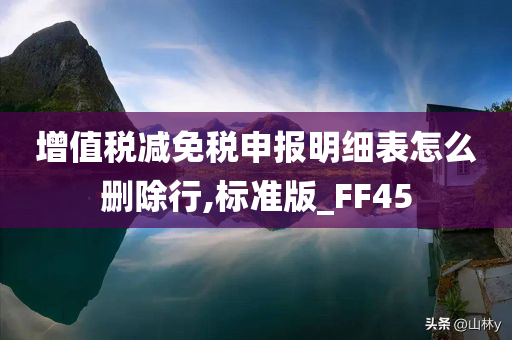 增值税减免税申报明细表怎么删除行,标准版_FF45