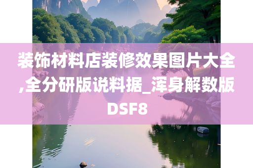 装饰材料店装修效果图片大全,全分研版说料据_浑身解数版DSF8