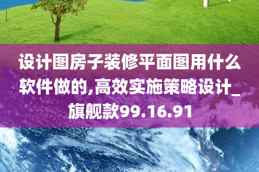 设计图房子装修平面图用什么软件做的,高效实施策略设计_旗舰款99.16.91