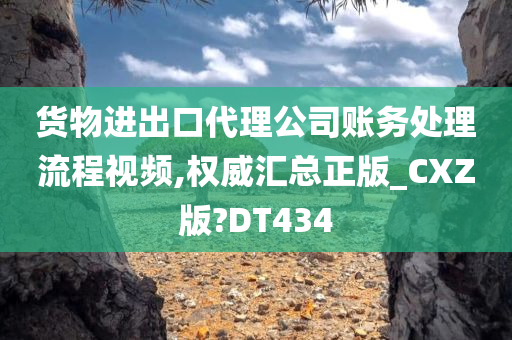 货物进出口代理公司账务处理流程视频,权威汇总正版_CXZ版?DT434