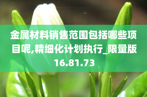 金属材料销售范围包括哪些项目呢,精细化计划执行_限量版16.81.73