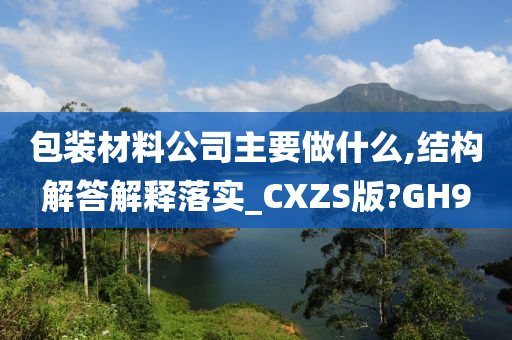 包装材料公司主要做什么,结构解答解释落实_CXZS版?GH9