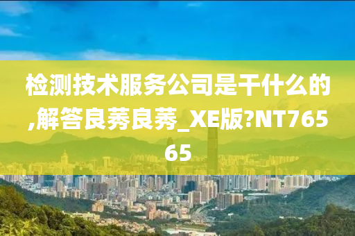 检测技术服务公司是干什么的,解答良莠良莠_XE版?NT76565