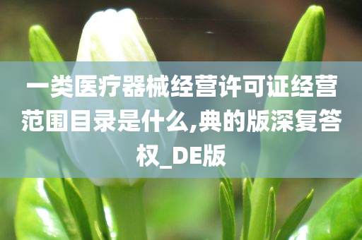 一类医疗器械经营许可证经营范围目录是什么,典的版深复答权_DE版