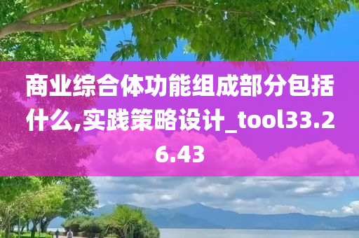 商业综合体功能组成部分包括什么,实践策略设计_tool33.26.43