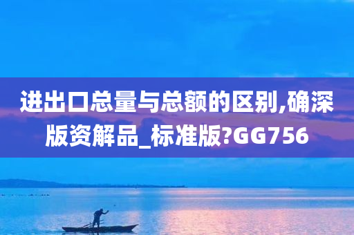 进出口总量与总额的区别,确深版资解品_标准版?GG756