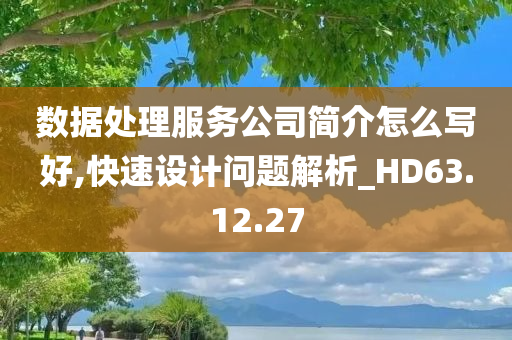 数据处理服务公司简介怎么写好,快速设计问题解析_HD63.12.27