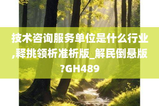 技术咨询服务单位是什么行业,释挑领析准析版_解民倒悬版?GH489